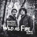 Wild as Fire